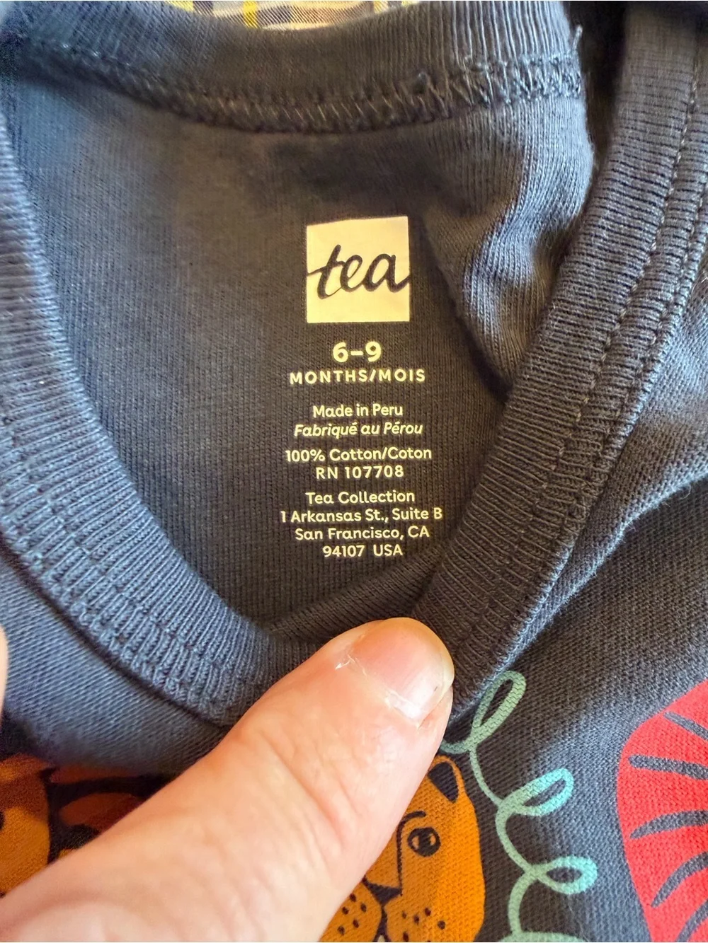 Ralph Lauren / NWT Tea Boys BUNDLE Shirts Preppy Baby